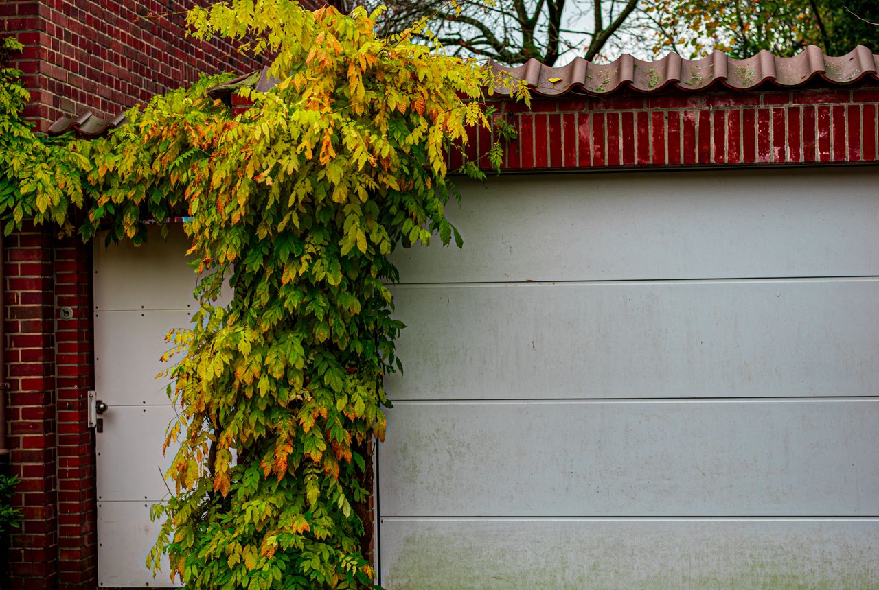Garage door service in Sherman, TX